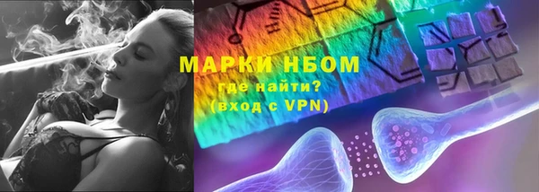 шишки Мегион