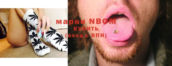 шишки Мегион