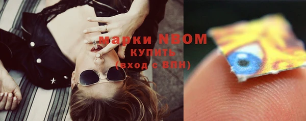 шишки Мегион