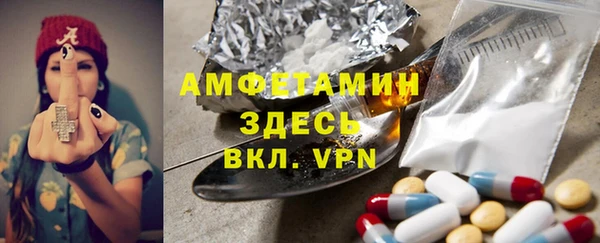 шишки Мегион