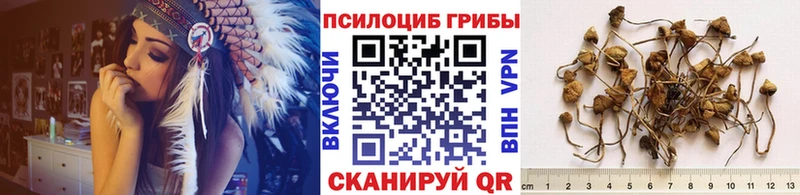 Галлюциногенные грибы Psilocybe  наркотики  Нелидово 