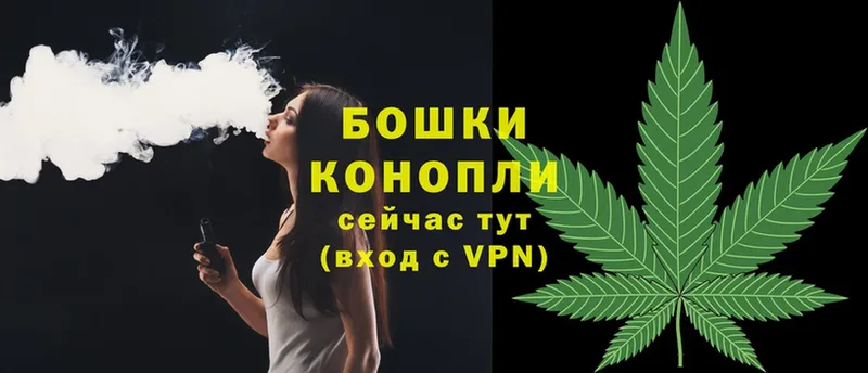 Бошки Шишки THC 21%  закладки  Нелидово 